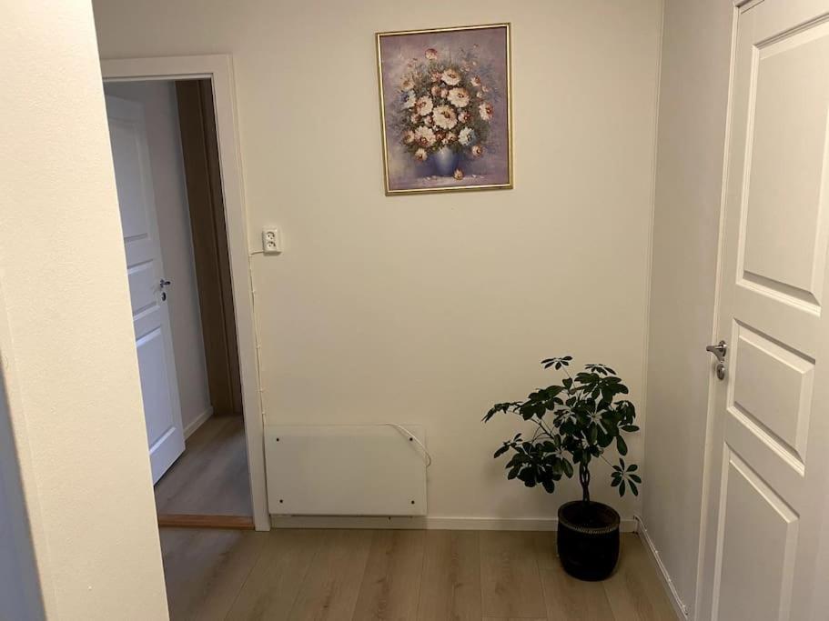Lovely 2 Bedroom Apartmen With Free Parking Берген Екстер'єр фото